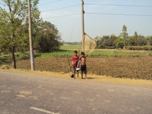 DSC00334