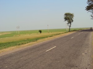 DSC00353