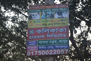 কলিকাতা হারবালের পোস্টার।