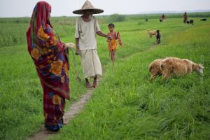 ছবি: শাহনাজ পারভীন