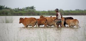 ছবি: শাহনাজ পারভীন