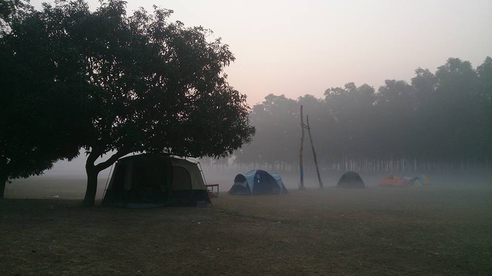 ছবি: ঠাকুর বিলাশ